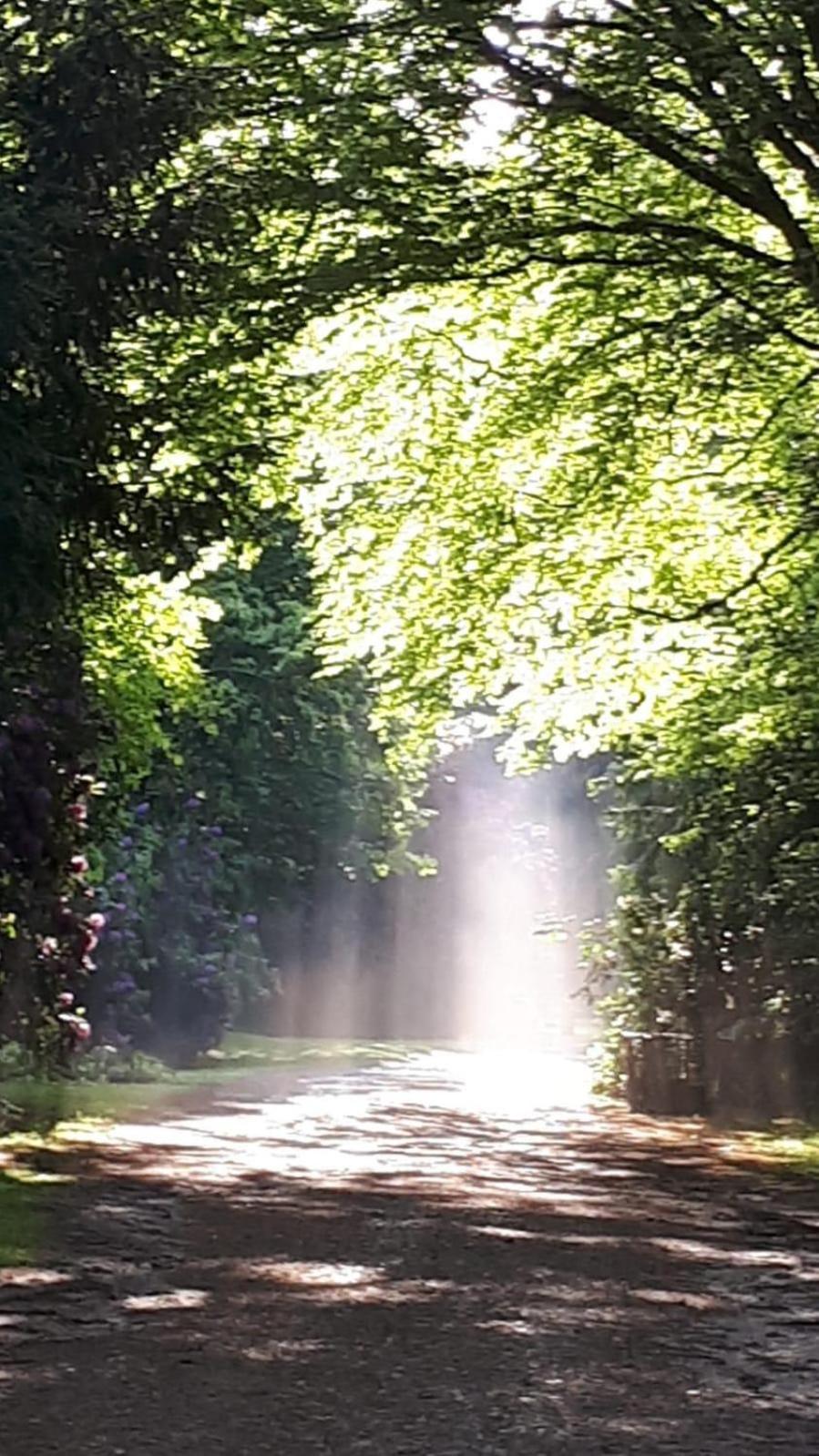 Altmarkblick Erbenhausen Экстерьер фото